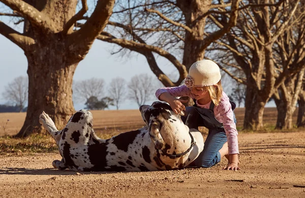 Mädchen spielt mit Hund — Stockfoto