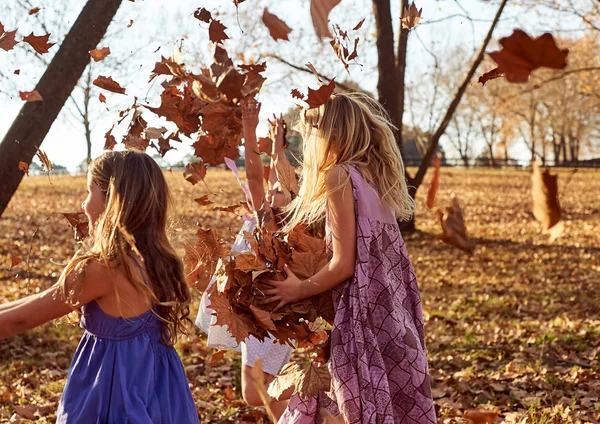 Meninas brincando com folhas — Fotografia de Stock