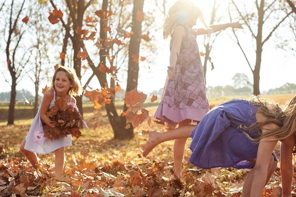 Meninas brincando com folhas — Fotografia de Stock