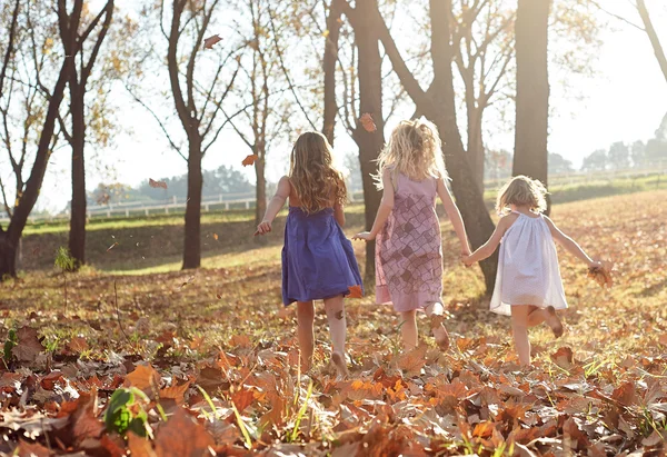 Meninas brincando com folhas — Fotografia de Stock