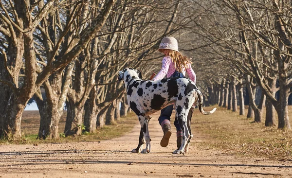 Menina andando com cão — Fotografia de Stock