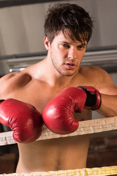 Junger Boxer in Boxhandschuhen — Stockfoto