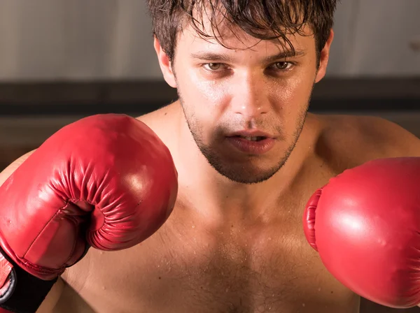 Junger Boxer in Boxhandschuhen — Stockfoto