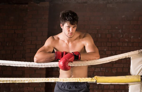 Молодой боксер в боксёрских перчатках — стоковое фото