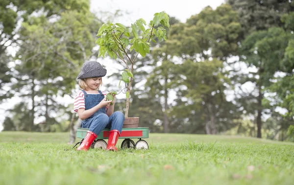 Barn som sitter på vagnen med växt — Stockfoto