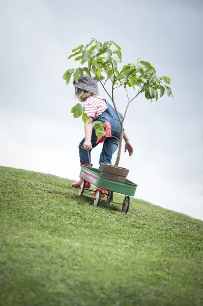 Carrinho de transporte de criança com planta — Fotografia de Stock