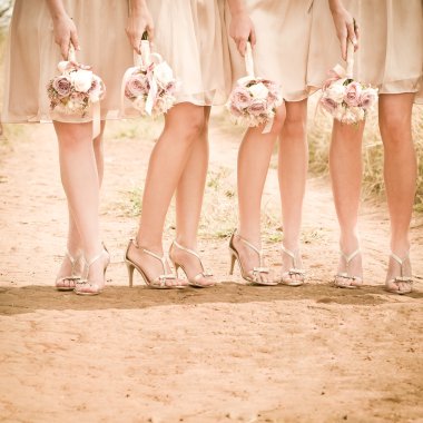 Brides maids standing in line clipart