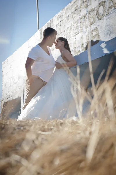 Liebende Braut und Bräutigam — Stockfoto