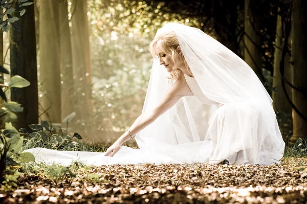 Blonde bruid in bos — Stockfoto