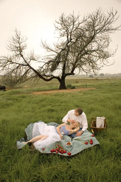 ピクニックを持つ愛のカップル — ストック写真