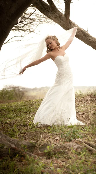 Beautiful carefree bride in forest — Stock Photo, Image