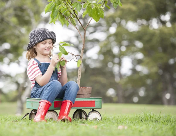 Criança sentada no carrinho com planta — Fotografia de Stock