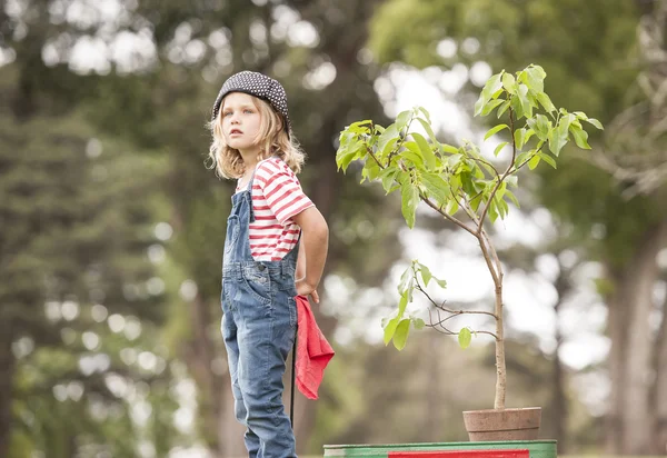 Carrello per bambini con pianta — Foto Stock