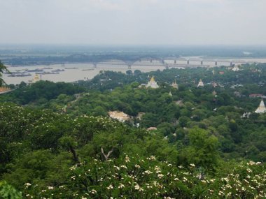Ağaçların, bitkilerin, nehrin ve köprünün manzarası