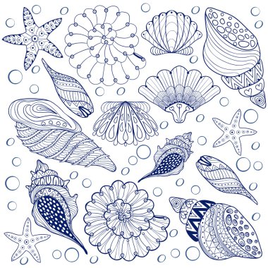 Vektör seti Kabuklar, yetişkin anti stres için zentangle mavi deniz kabukları