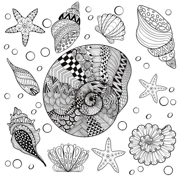 Ensemble vectoriel coquillages de mer, étagères zentangle pour adulte anti stress Co — Image vectorielle