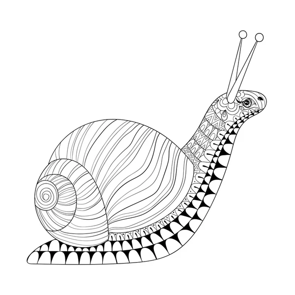 Snail zentangle gambar tangan untuk halaman pewarnaan anti stres dewasa - Stok Vektor