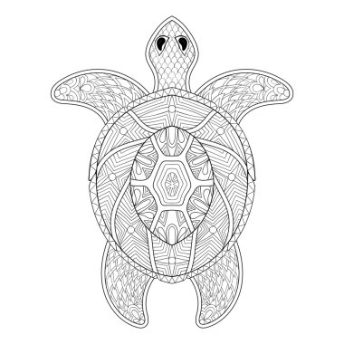 Kaplumbağa zentangle tarzında. Yetişkin antistres için freehand kroki 