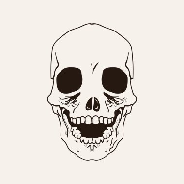 baş kafatası çizimi