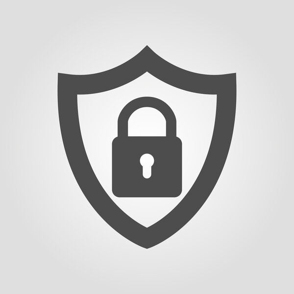 Security shield with lock