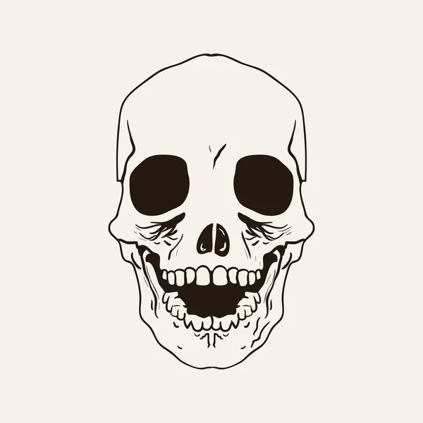 Baş kafatası çizimi — Stok Vektör