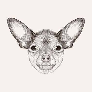 Kroki oyuncak korkunç