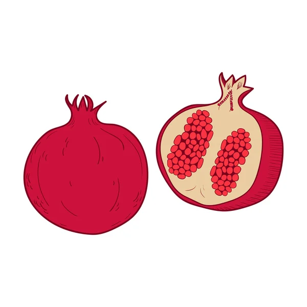 Hele en halve granaatappel — Stockvector