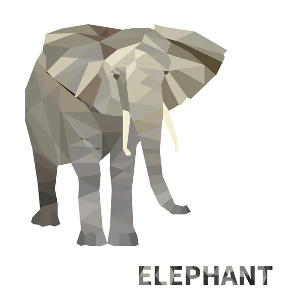 Polygonal elephant. Isolated — Stock Vector