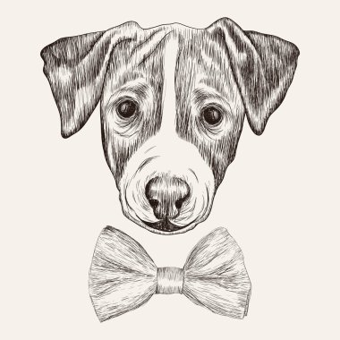 Jack Russell Terrier köpek papyon ile kroki. Elle çizilmiş illustr