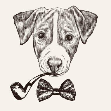 Jack Russell Terrier köpek papyon ve tütün boru ile kroki. H