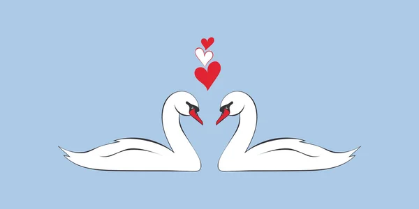 Pareja cariñosa de cisnes — Vector de stock