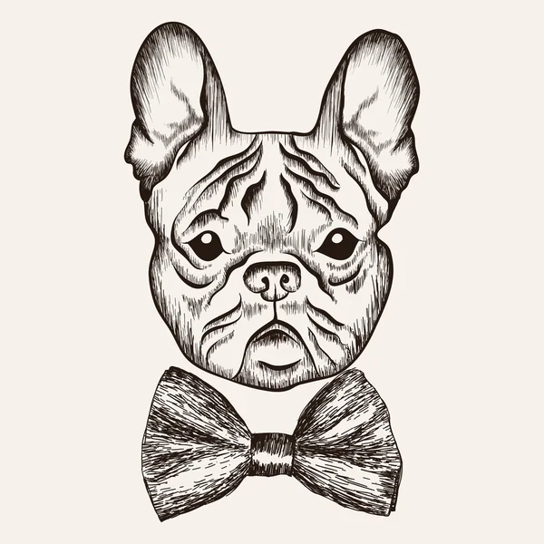 Esboço Bulldog francês com gravata borboleta. ilustração cão desenhado à mão . —  Vetores de Stock