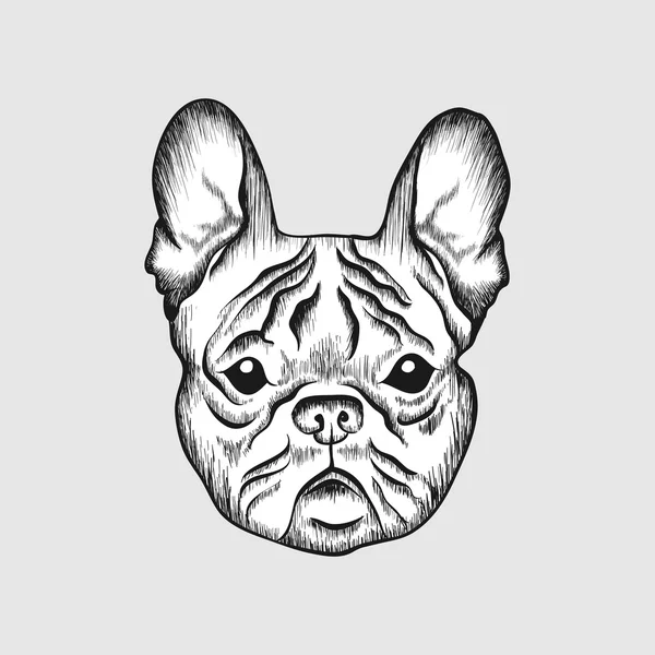 Schets Franse bulldog. Hand getrokken gezicht van hond illustratie. — Stockvector