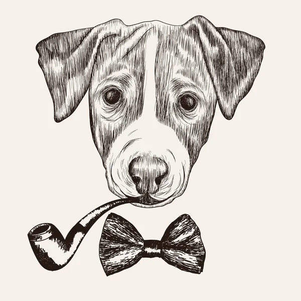 Sketch Jack Russell Terrier Dog with bow tie and tobacco pipe. H — Stock Vector