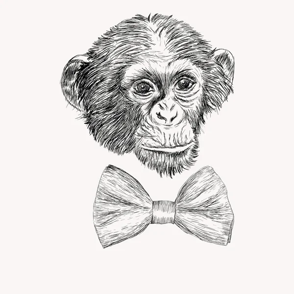 Skiss monkey face med fluga. Handritad doodle vektor illust — Stock vektor