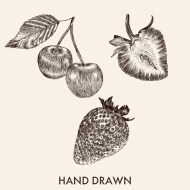 Çilek ve vişne kroki. El vektör çizim çekilmiş. Fr