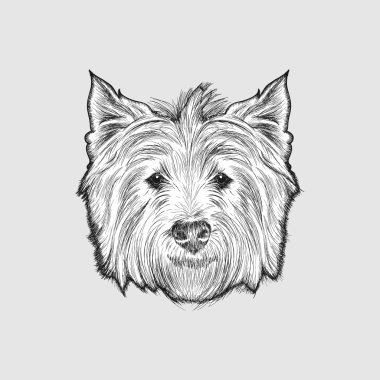 Kroki batı dağlık beyaz korkunç. Köpek illus çizilmiş yüz el