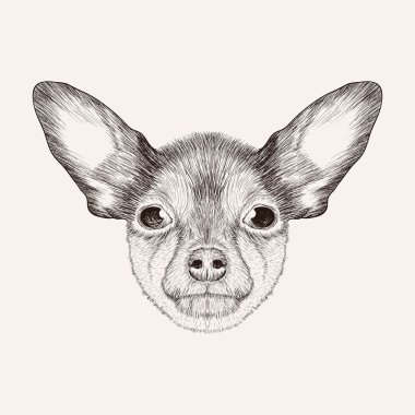 Sketchtoy korkunç. Köpek resimde çizilmiş yüz el.