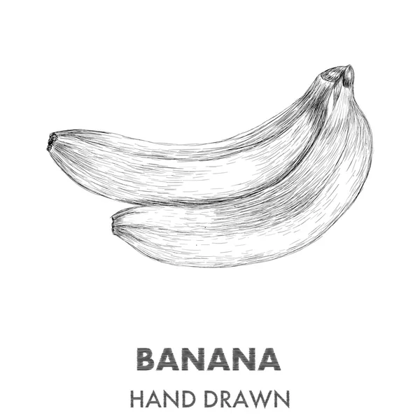 Schizzo di banana. Illustrazione vettoriale disegnata a mano. Collezioni di frutta — Vettoriale Stock
