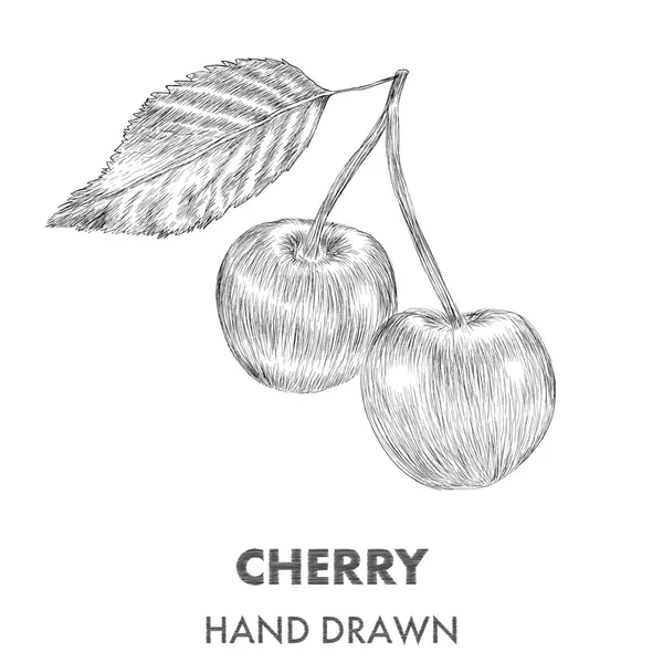 草绘的樱桃。手绘矢量图。水果精品 — 图库矢量图片