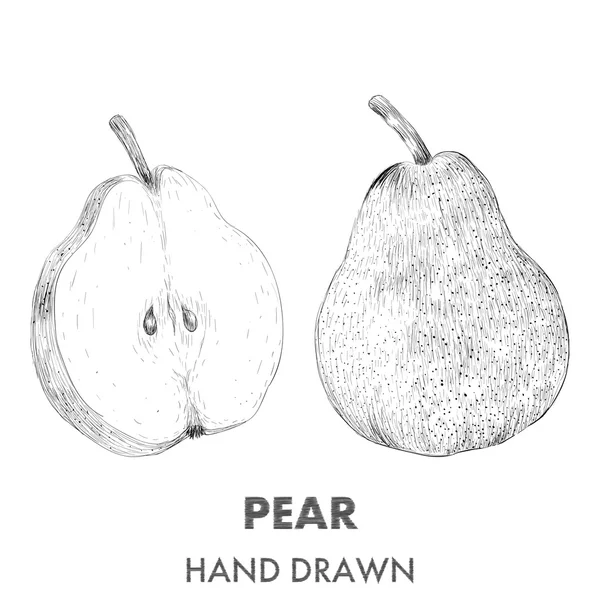 Schets voor pear. Hand getekend vectorillustratie. Fruit-collectie — Stockvector