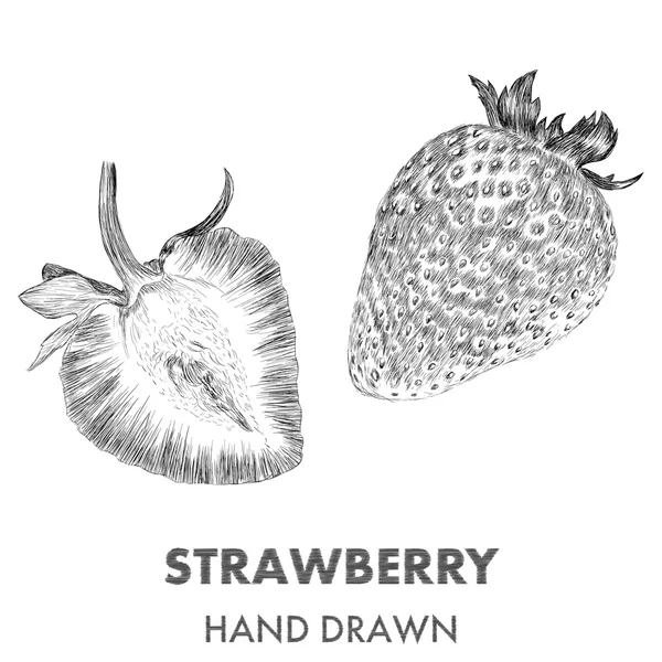 Boceto de fresa. Ilustración vectorial dibujada a mano. Coll de frutas — Vector de stock