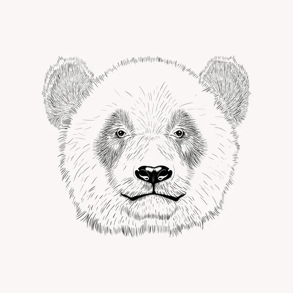 Esquisse le visage de panda. Illustration vectorielle dessinée main . — Image vectorielle