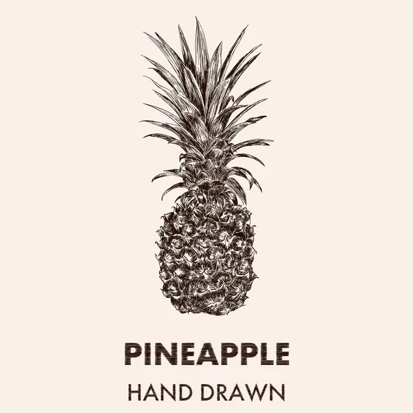 Szkic ananasa. Ręcznie rysowane ilustracji wektorowych. Owoc collecti — Wektor stockowy