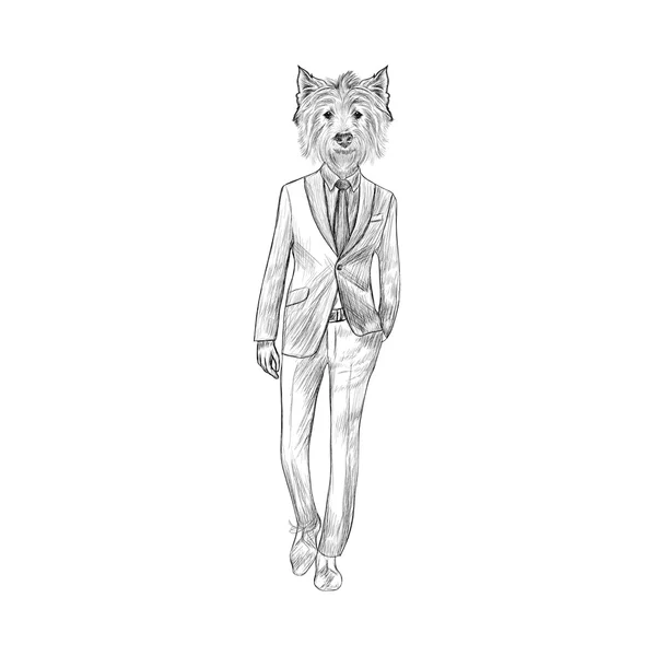 Sketch West Highland White Terrier in Hipster Suit. Hand drawn f — Stock Vector