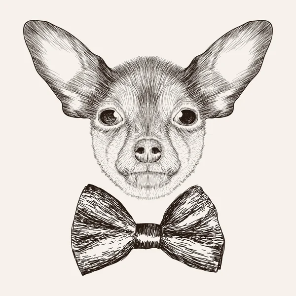 Skiss Toy Terrier med fluga. Handritad hund illustration. — Stock vektor