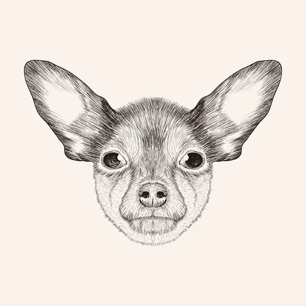 SketchToy Terrier. Cara desenhada à mão da ilustração do cão . — Vetor de Stock