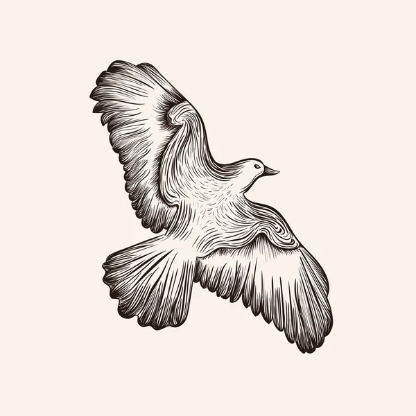 Croquis vectoriel oiseau. Illustration dessinée main . — Image vectorielle