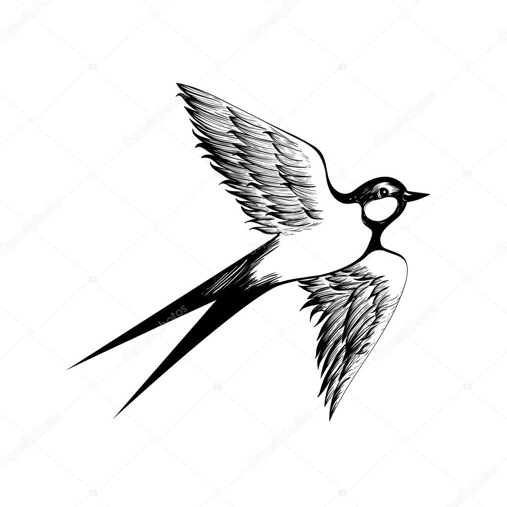 Hand drawn  flying swallow silhouette
