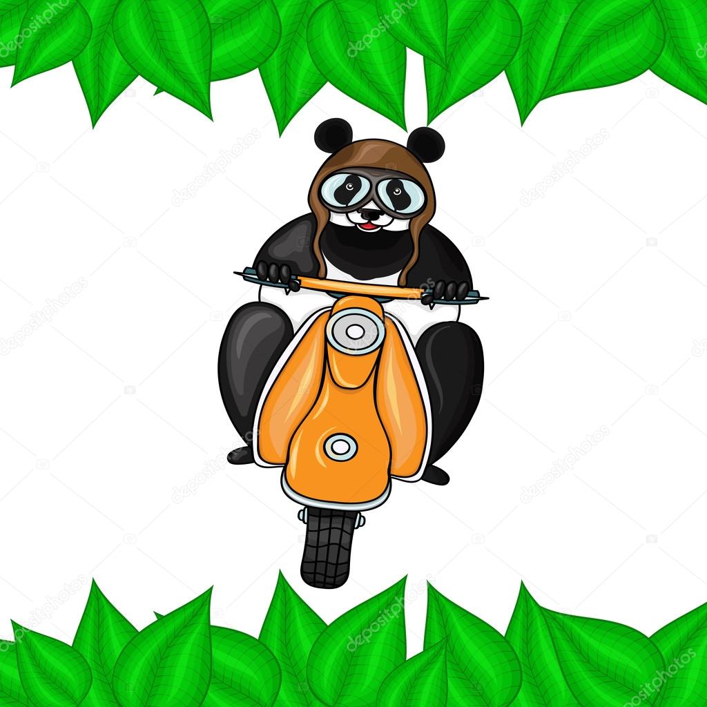 Panda in helmet on scooter